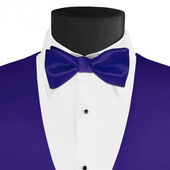 Men's Larr Brio Modern Solid Bow Tie - Blue Violet