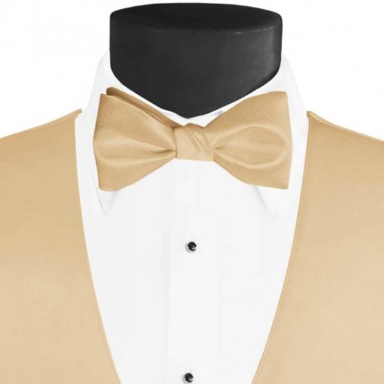 Men's Larr Brio Modern Solid Bow Tie - Toffee