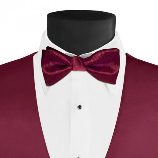 Larr Brio Modern Solid Fuchsia Bow Tie