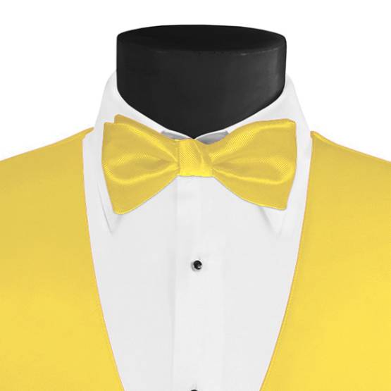 Larr Brio Modern Solid Sunbeam Bow Tie