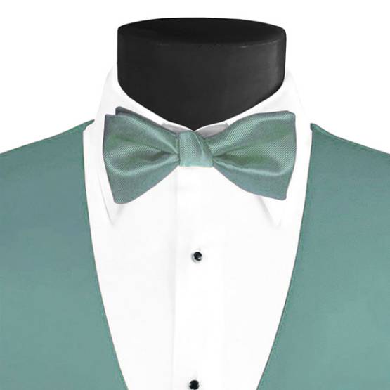Men's Larr Brio Modern Solid Bow Tie - Meadow