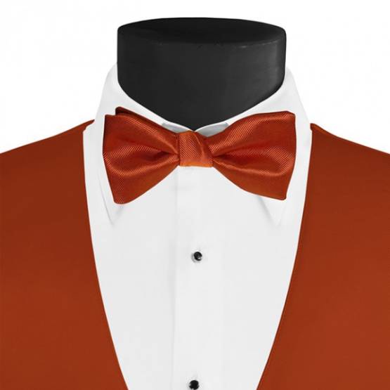 Larr Brio Modern Solid Bow Tie.