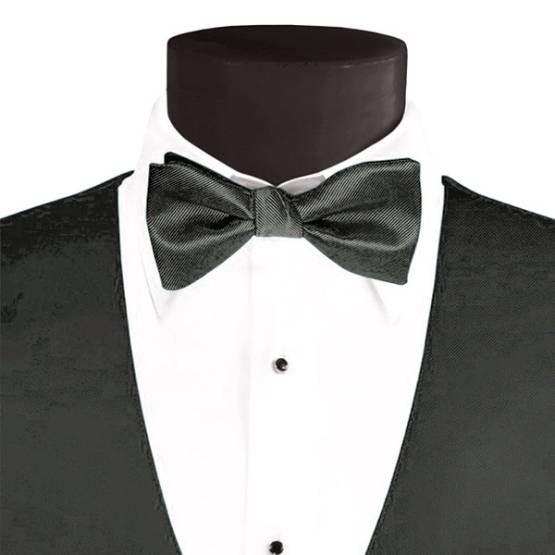 Men's Larr Brio Modern Solid Bow Tie - Portobello