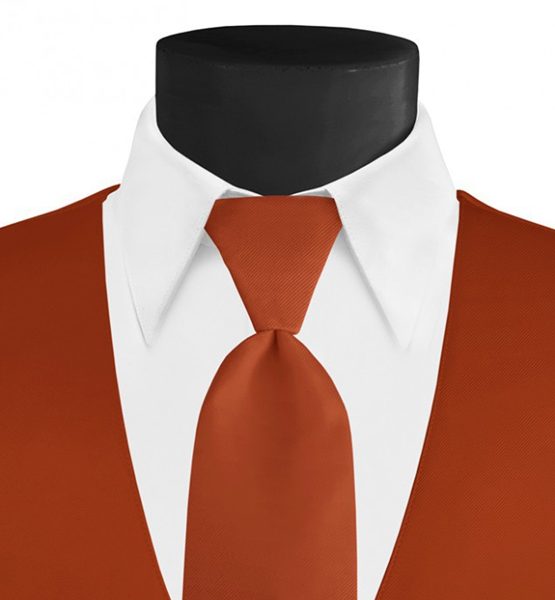 Larr Brio Modern Solid Burnt Orange Long Tie