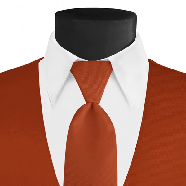 Larr Brio Modern Solid Burnt Orange Long Tie