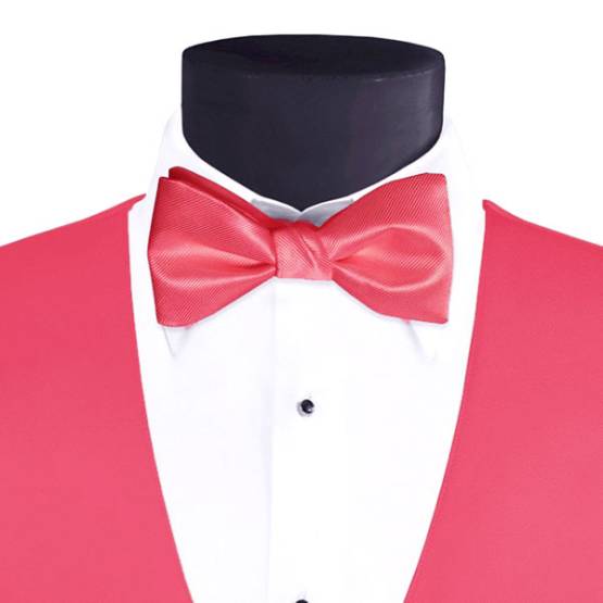 Men's Larr Brio Modern Solid Bow Tie - Bubble Gum