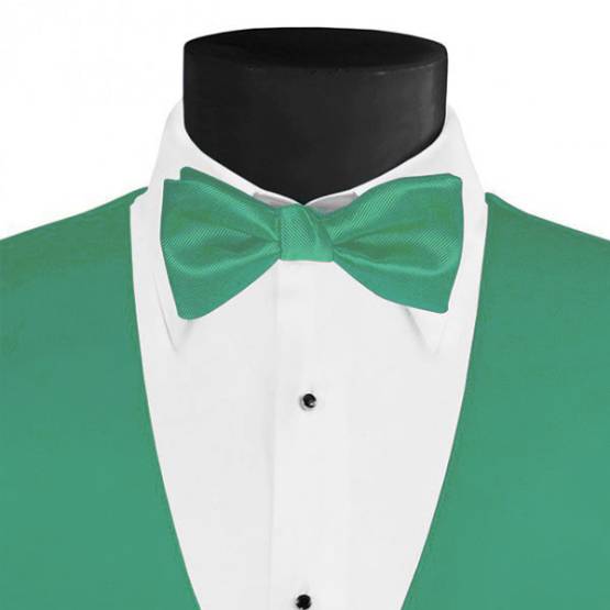 Men's Larr Brio Modern Solid Bow Tie - Pool