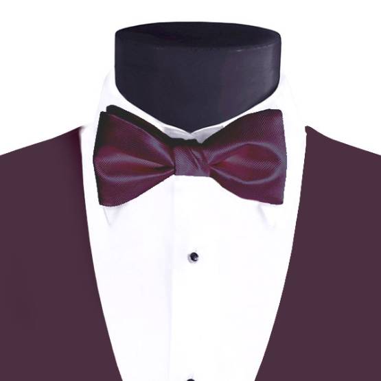 Men's Larr Brio Modern Solid Bow Tie - Plum