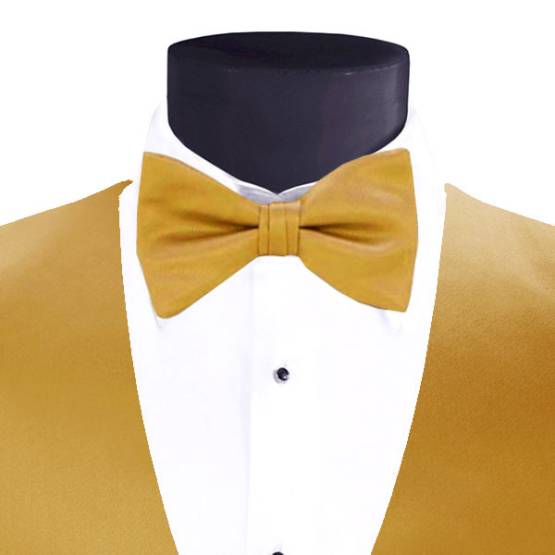 Men's Larr Brio Modern Solid Bow Tie - Gold